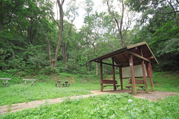 Pavilhão na floresta durante o dia — Fotografia de Stock