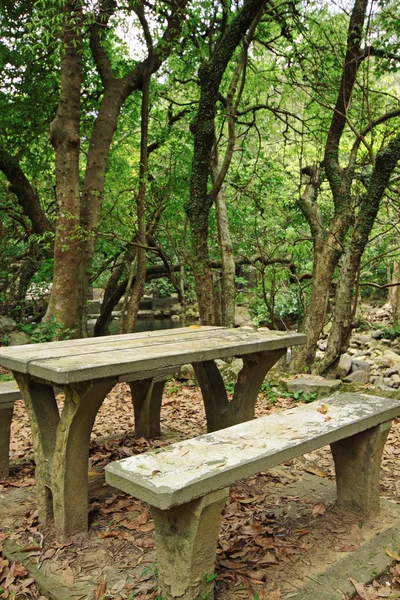 Picnic place in forest — Stock Photo, Image