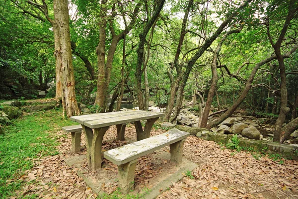 Posto picnic nella foresta — Foto Stock