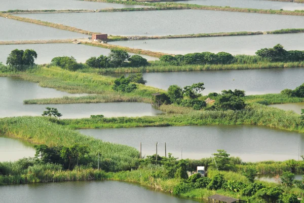 Paisagem de terraço de arroz na China — Fotografia de Stock