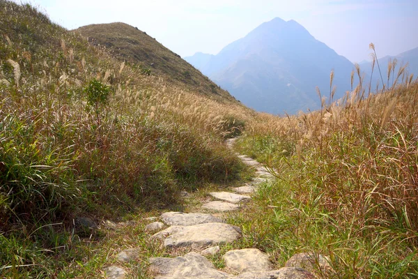 Кам'яна стежка в горах — стокове фото