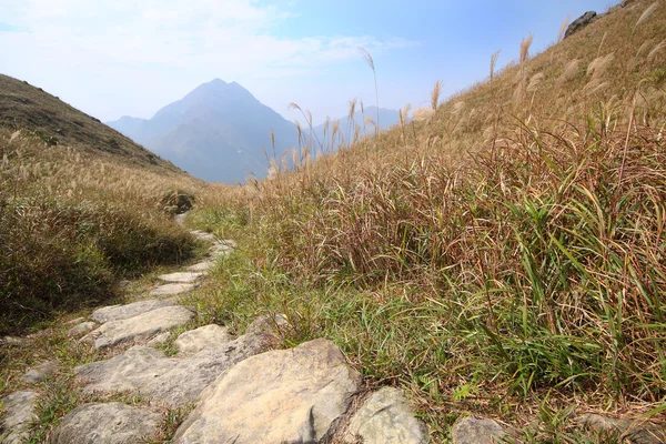 Sentiero in pietra in montagna — Foto Stock