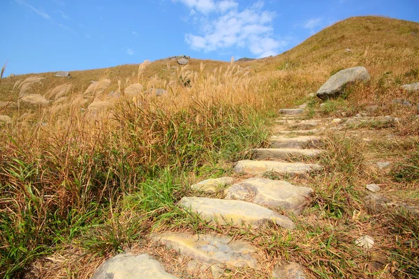 Stenen pad in de bergen — Stockfoto