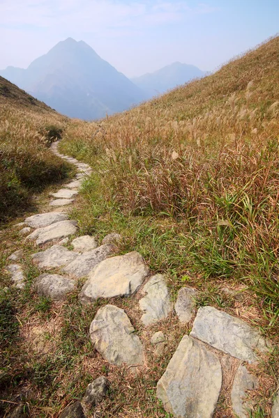 Kő ösvény a hegyekben — Stock Fotó
