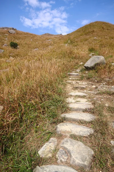 Chemin de pierre dans les montagnes — Photo