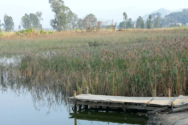 Деревянный пирс в спокойном озере утром — стоковое фото