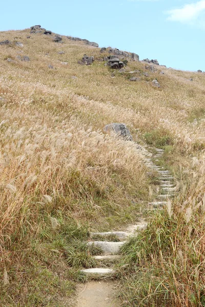 Camino de piedra en las montañas — Foto de Stock