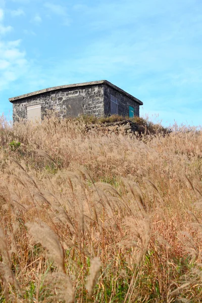 Vieja casa de piedra con hierba en la montaña —  Fotos de Stock