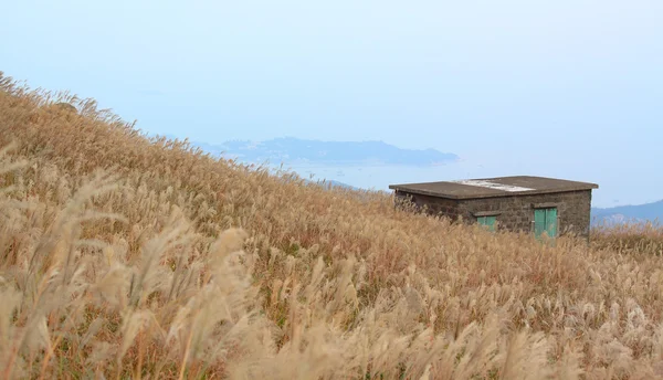 Vieja casa de piedra con hierba en la montaña — Foto de Stock