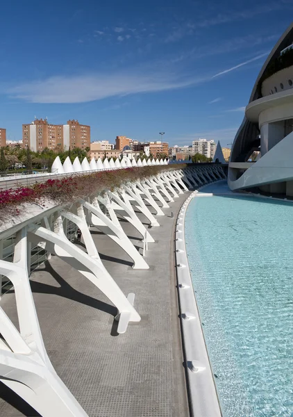 The City of Arts and Sciences Valencia — Stock Photo, Image