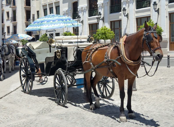 Лошадь и карета напрокат в Ронде — стоковое фото