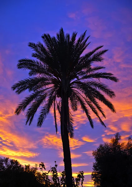 stock image Sunset over Turre, Spain