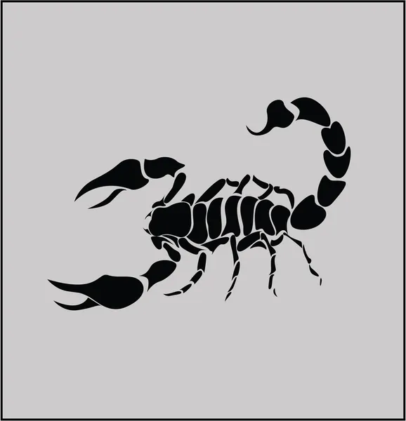 Vector image scorpion — Stock Vector