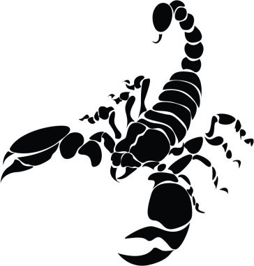 Vector image scorpion clipart