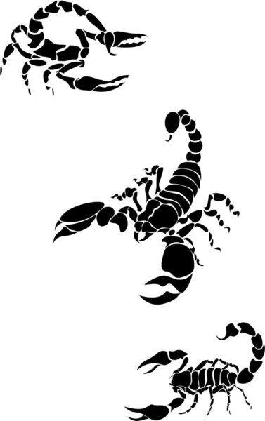 Vector image scorpion — Stock Vector