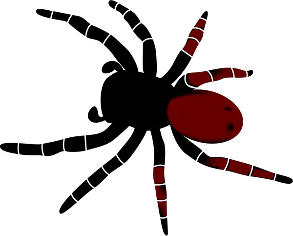Wektor wyobrażenie o osobie pająk Grafika Wektorowa