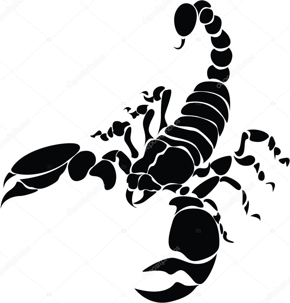 simple scorpion outline