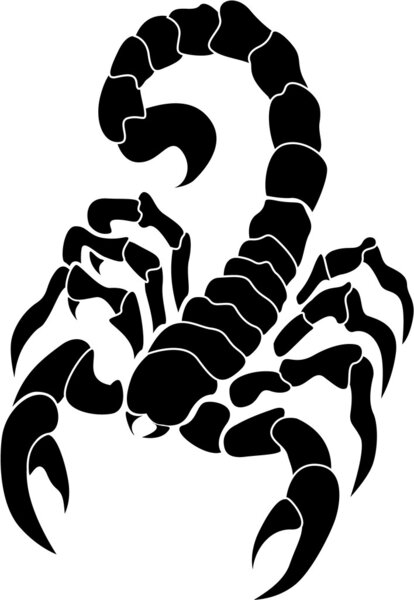 Векторное изображение скорпиона
