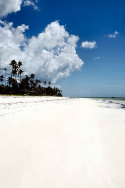 Zanzibar beach