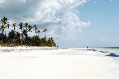 Zanzibar beach