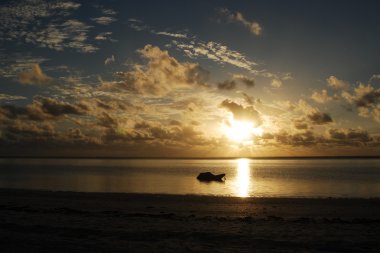 Zanzibar sunsrise