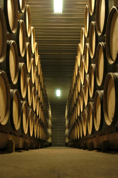 Cave à vin Bourgogne — Photo