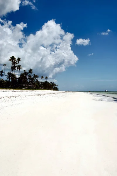 Playa de Zanzíbar — Foto de Stock