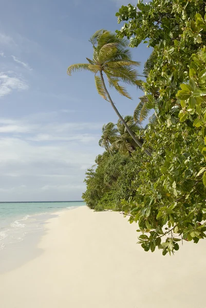 Мальдивы — стоковое фото