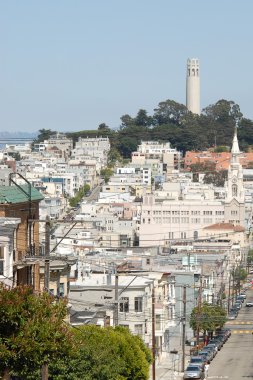 Coit tower görünüm