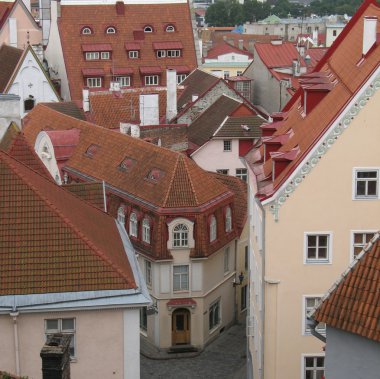 Tallin görünümü