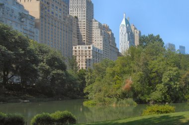 Central park