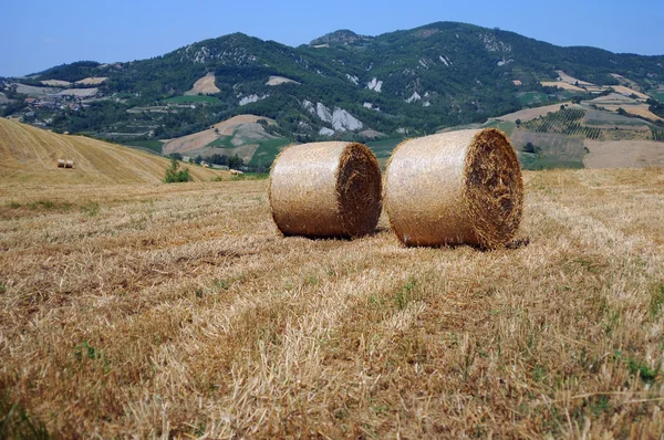 stock image Hay bales