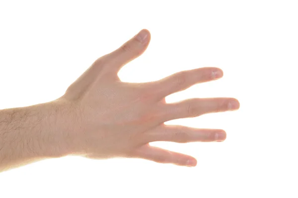 Рука мальчика — стоковое фото