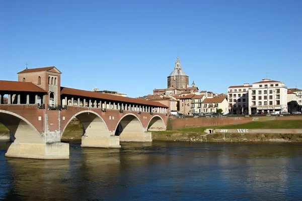 Pavia kartpostal — Stok fotoğraf