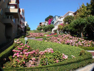 Lombard street view clipart