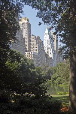 Central park