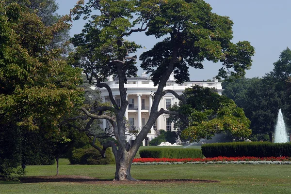 Vista de la Casa Blanca, Washington D.C. . — Foto de Stock