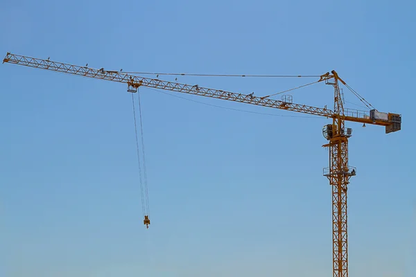 Tower crane against a blue sky — Stock Photo, Image