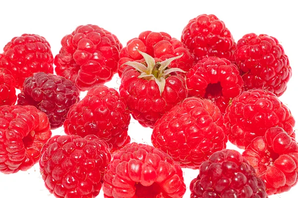 Fresh raspberries with branches — Stock Photo, Image