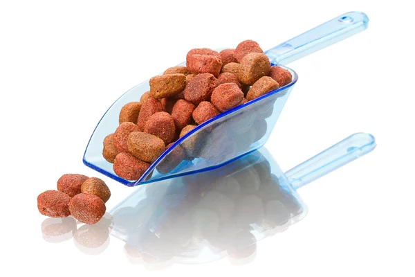 stock image Dog food in a scoop