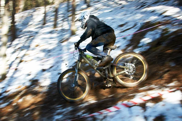Competencia bicicleta de montaña —  Fotos de Stock