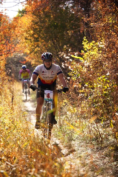 Ανταγωνισμού ποδήλατο βουνού στο φθινόπωρο δάσος Φωτογραφία Αρχείου