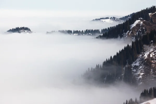 Mlha v zimních horách — Stock fotografie
