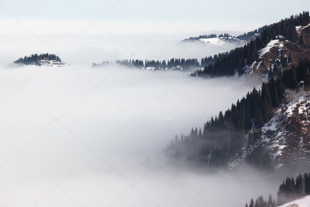 Fog in winter mountains