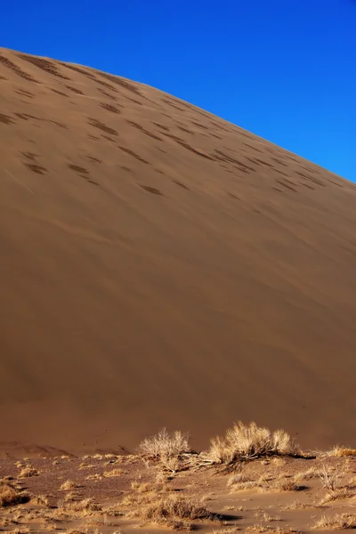 Duna de areia — Fotografia de Stock