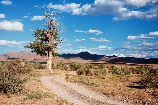 モンゴルの砂漠山の道 — ストック写真