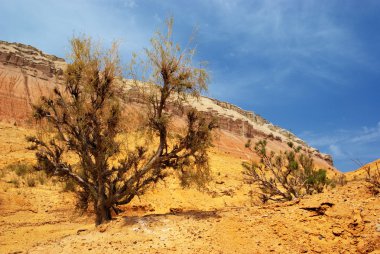 Desert mountains in Kazakhstan clipart