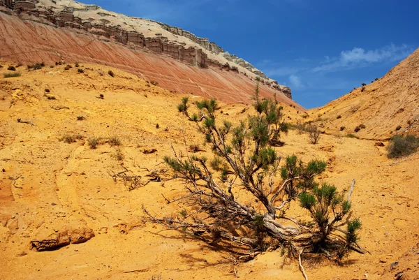 Desert mountains in Kazakhstan — Stock Image Desert mountains in Kazakhstan Stock Image