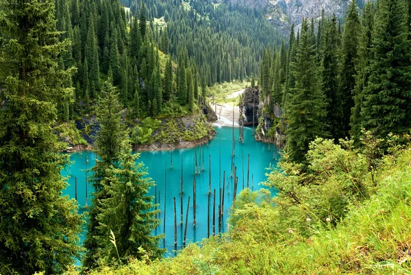 Sjön kaindy i tien-shan mountains, Kazakstan — Stockfoto