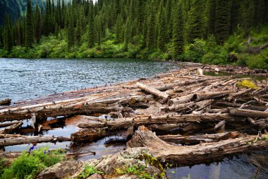 Lake in Tien-Shan mountains, Kazakhstan clipart